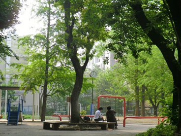 桜川公園の画像1