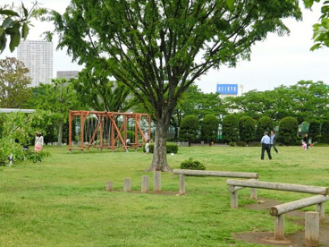 芝浦中央公園の画像1