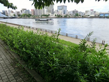 新川公園の画像1