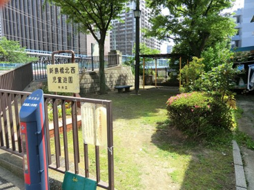 新島橋北西児童遊園の画像1
