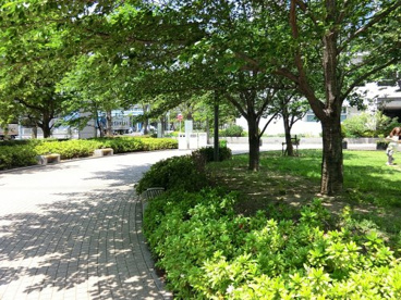 晴海第三公園の画像1
