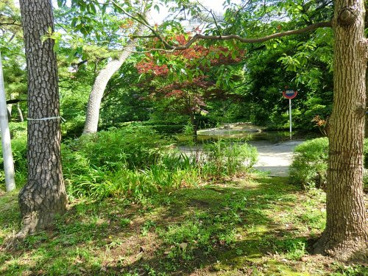清水谷公園の画像1