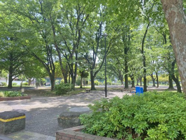青山公園の画像1