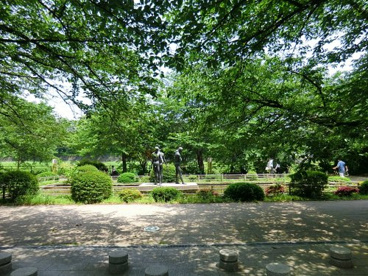 千鳥ヶ淵公園の画像1
