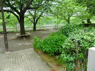 大島川児童遊園の画像1