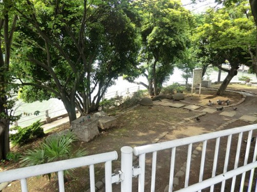 中の島公園の画像1