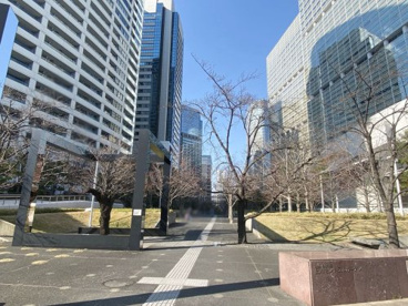 杜の公園の画像1