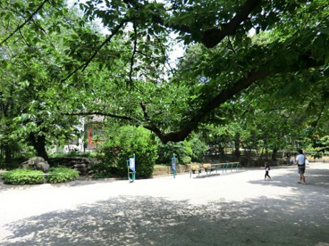 東郷元帥記念公園の画像1
