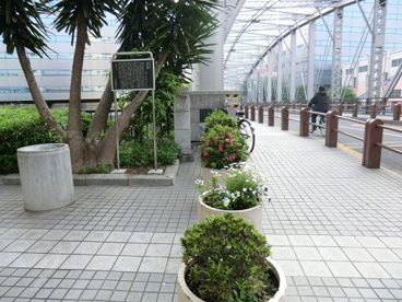 南高橋南西児童遊園の画像1