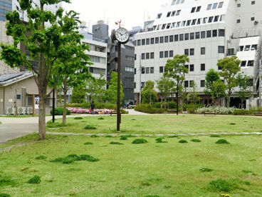 南桜公園の画像1