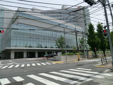 日本赤十字社医療センターの画像1