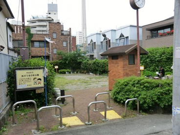氷川つるかめ公園の画像1