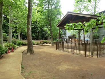 氷川の杜公園の画像1