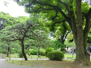 浜離宮恩賜庭園の画像1