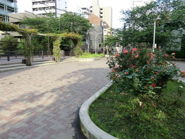 楓川新富橋公園の画像1