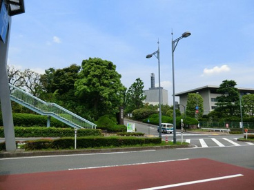 北の丸公園の画像1
