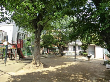 本村公園の画像1