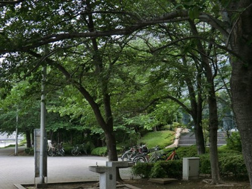 明石町河岸公園の画像1