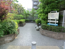 弦巻三丁目ゆずりは公園