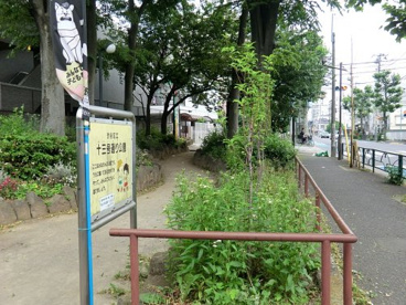 十三号通り公園の画像1