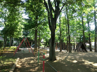 西永福公園の画像1