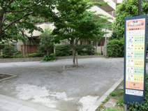 公園 西原どんぐり公園