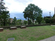 公園 太子堂円泉ヶ丘公園