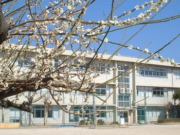 松戸市立馬橋北小学校の画像1