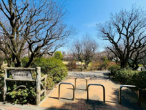 田柄梅林公園