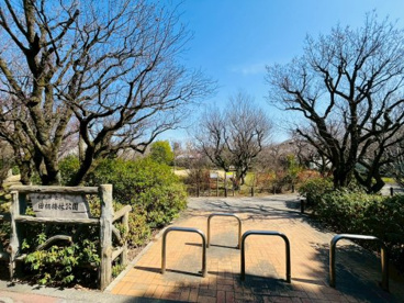 田柄梅林公園の画像1