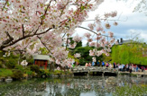 円山公園