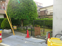 北沢かいどうひろば公園