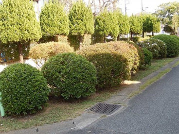 並木北田緑地の画像1