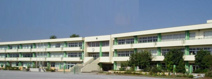 金杉小学校