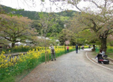 東山自然緑地