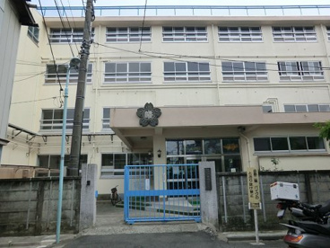 渋谷区立中幡小学校の画像1