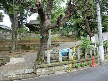 天神山児童遊園の画像1