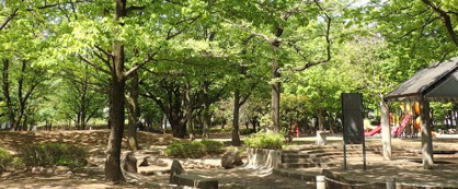 平和の森公園の画像1