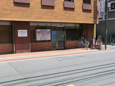 医療法人カネコクリニックの画像1