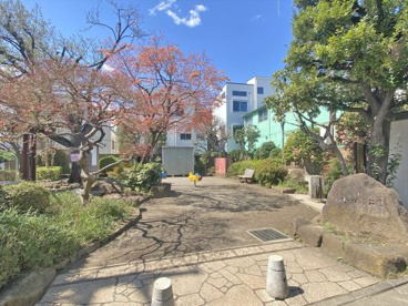 しいのき公園の画像1