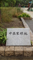 中在家緑地