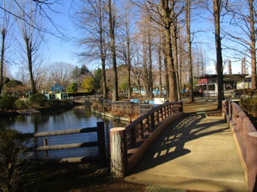 大崎公園の画像1
