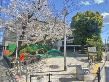 荏原西公園の画像1