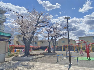 荏原中央公園の画像1