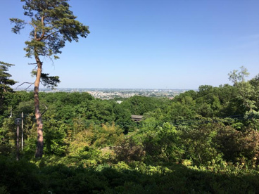 県立比企丘陵自然公園の画像1