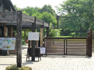 東京港野鳥公園の画像1