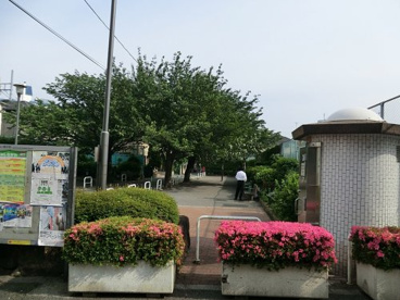 南品川六丁目特定児童遊園の画像1