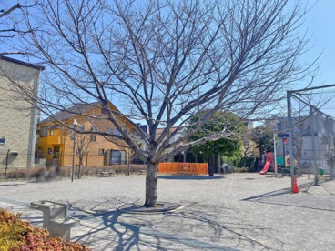 豊町公園の画像1