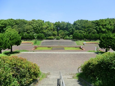 みなとが丘ふ頭公園の画像1
