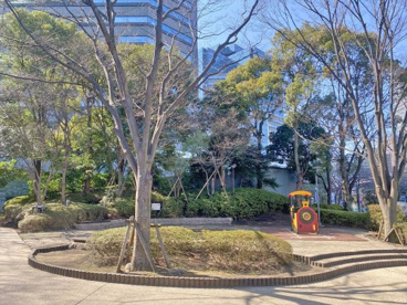 居木橋公園の画像1